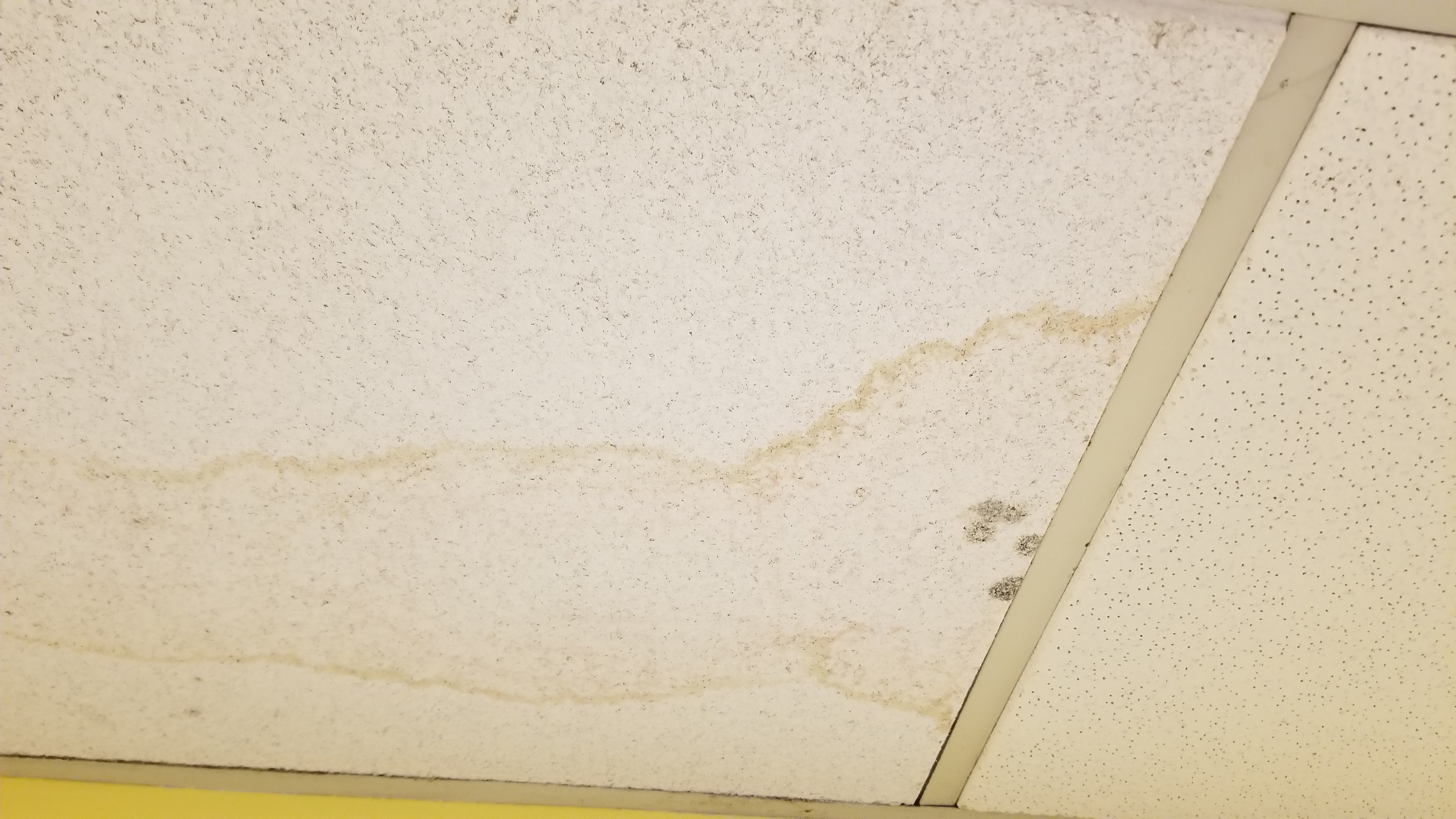 Moldy ceiling tile